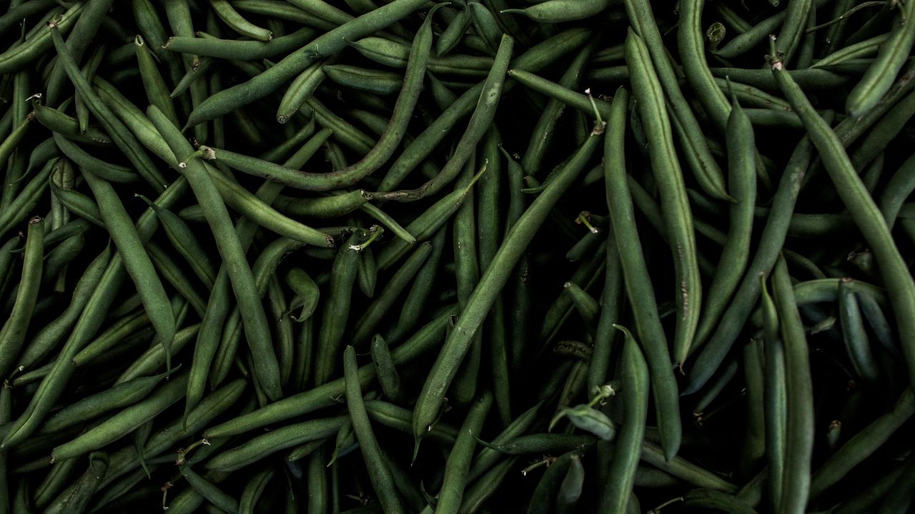 Wallpaper beans, pods, green