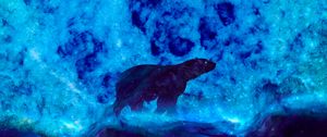 Preview wallpaper bear, art, glow, blue, northern