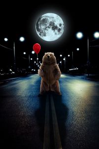 Preview wallpaper bear, balloon, full moon, road, photoshop