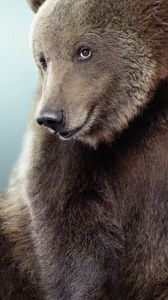 Preview wallpaper bear, black, cute, fur