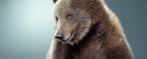 Preview wallpaper bear, black, cute, fur