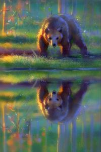 Preview wallpaper bear, brown, reflection, water, art