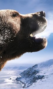 Preview wallpaper bear, brown, roar, mountains, snow