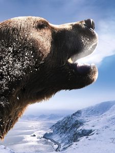 Preview wallpaper bear, brown, roar, mountains, snow