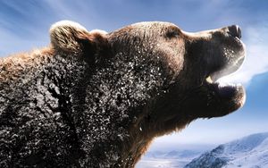 Preview wallpaper bear, brown, roar, mountains, snow