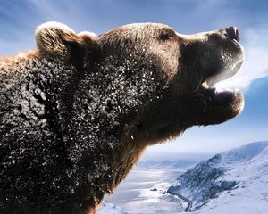 Preview wallpaper bear, brown, roar, mountains, snow