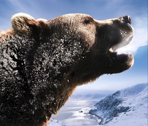Preview wallpaper bear, brown, roar, mountains, snow