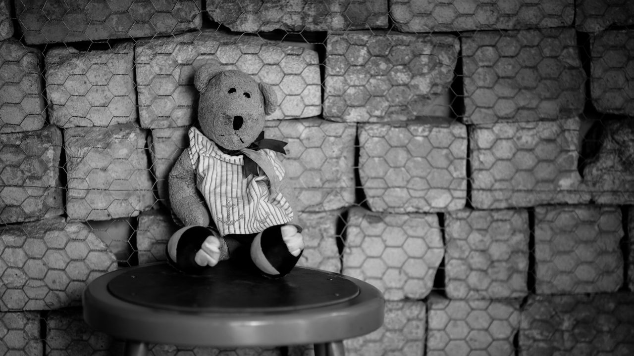 Wallpaper bear cub, toy, chair, mesh, black-and-white