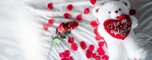 Preview wallpaper bear cub, toy, rose, flower, petals, valentine