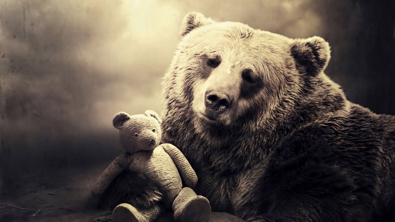 Wallpaper bear, face, toy, shadow, sepia, black and white
