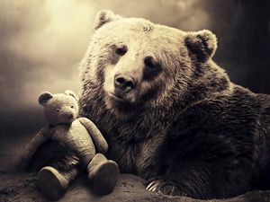 Preview wallpaper bear, face, toy, shadow, sepia, black and white
