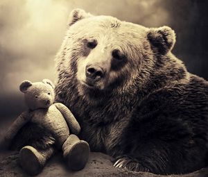 Preview wallpaper bear, face, toy, shadow, sepia, black and white