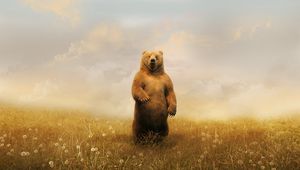 Preview wallpaper bear, field, grass, sky