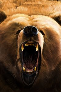 Preview wallpaper bear, grin, angry, fangs, art