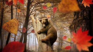 Preview wallpaper bear, owl, autumn, leaves, leaf fall, mushroom, forest, trees