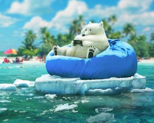 Preview wallpaper bear, phone, funny, ice, beach