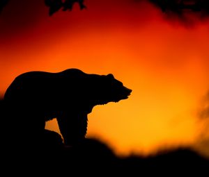Preview wallpaper bear, silhouette, vector, sunset