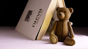 Preview wallpaper bear, toy, book