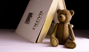 Preview wallpaper bear, toy, book
