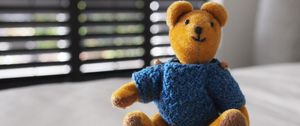 Preview wallpaper bear, toy, jacket