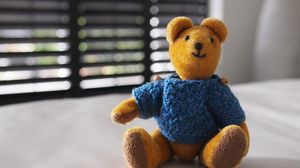 Preview wallpaper bear, toy, jacket