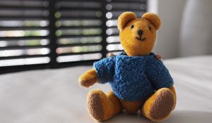 Preview wallpaper bear, toy, jacket