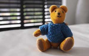 Preview wallpaper bear, toy, jacket