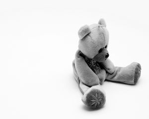 Preview wallpaper bear, toy, soft, black and white