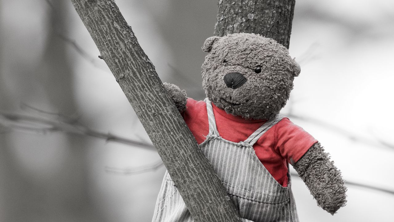 Wallpaper bear, toy, tree, branch, black and white