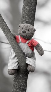 Preview wallpaper bear, toy, tree, branch, black and white