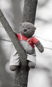 Preview wallpaper bear, toy, tree, branch, black and white