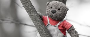 Preview wallpaper bear, toy, tree, branch, black and white