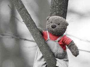 Preview wallpaper bear, toy, tree, branch, black and white