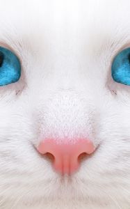 Preview wallpaper beautiful, white cat, kitten, close-up