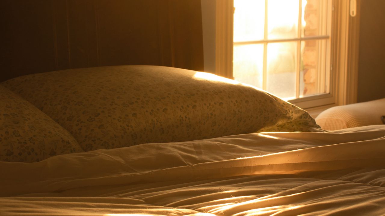 Wallpaper bed, window, light, morning