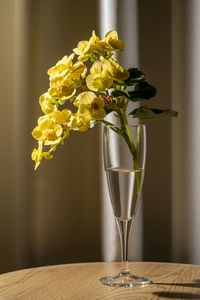 Preview wallpaper begonia, petals, flower, leaves, vase, table