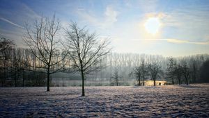 Preview wallpaper belgium, winter, garden, sun, sky, clearly, trees