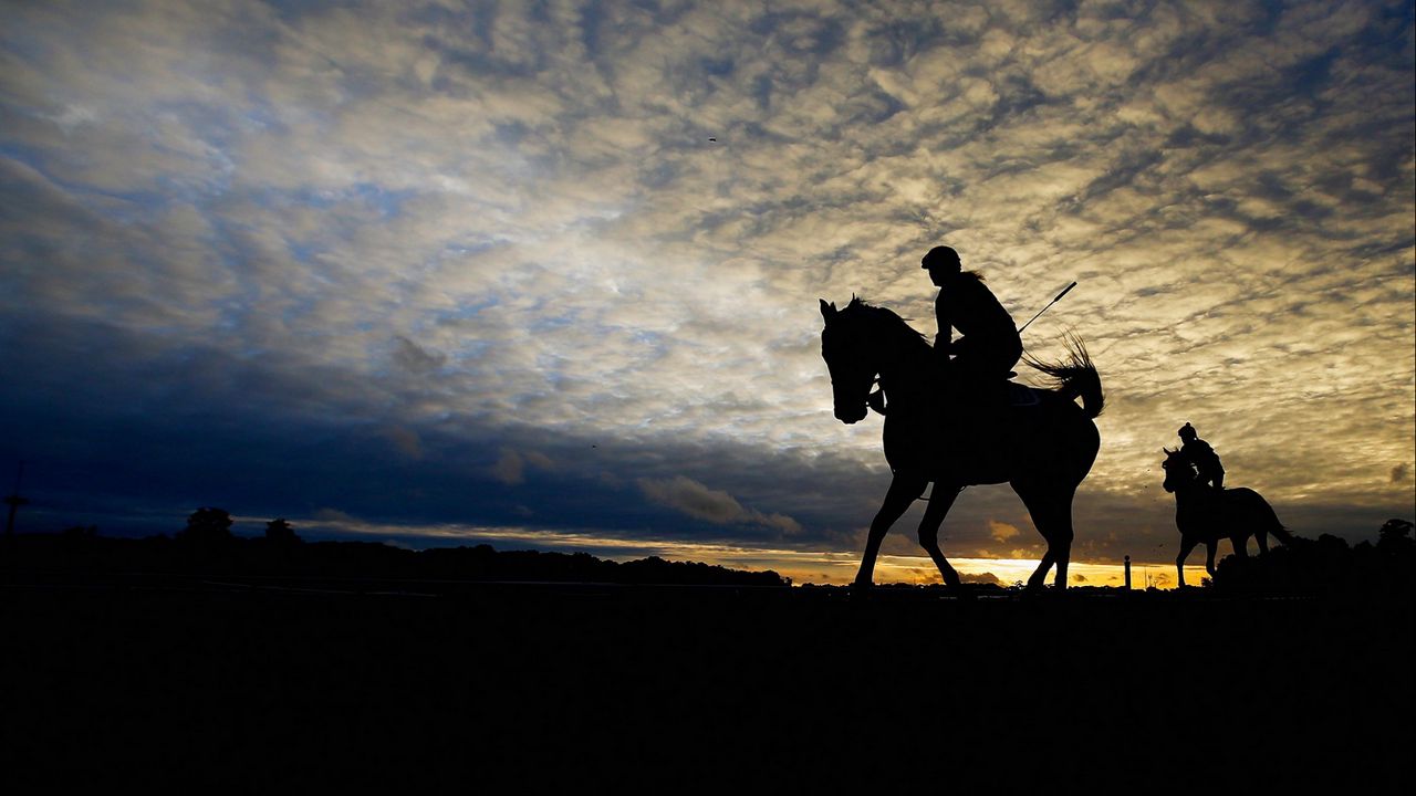 Wallpaper belmont stakes, 2015, horse racing, horse, silhouette, sky