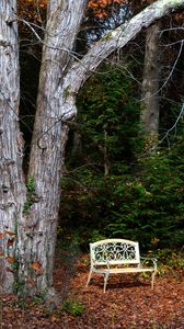 Preview wallpaper bench, autumn, foliage, tree
