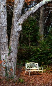 Preview wallpaper bench, autumn, foliage, tree