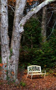 Preview wallpaper bench, autumn, foliage, tree