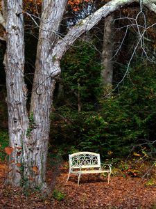 Preview wallpaper bench, autumn, foliage, tree