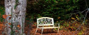 Preview wallpaper bench, autumn, foliage, tree