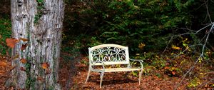 Preview wallpaper bench, autumn, foliage, tree