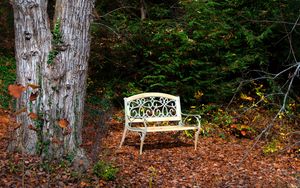 Preview wallpaper bench, autumn, foliage, tree