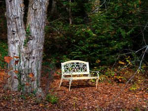 Preview wallpaper bench, autumn, foliage, tree