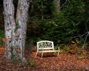 Preview wallpaper bench, autumn, foliage, tree