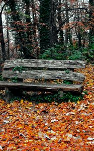 Preview wallpaper bench, autumn, park, trees