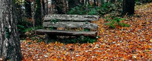 Preview wallpaper bench, autumn, park, trees