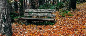 Preview wallpaper bench, autumn, park, trees